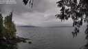 ./images/koeye/fitz-hugh/20260413/fitz-hugh20260413_084001M.jpg