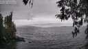 ./images/koeye/fitz-hugh/20260413/fitz-hugh20260413_104001M.jpg