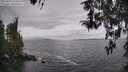 ./images/koeye/fitz-hugh/20260413/fitz-hugh20260413_104501M.jpg