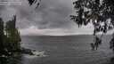 ./images/koeye/fitz-hugh/20260413/fitz-hugh20260413_110501M.jpg