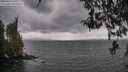 ./images/koeye/fitz-hugh/20260413/fitz-hugh20260413_111001M.jpg