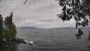 ./images/koeye/fitz-hugh/20260413/fitz-hugh20260413_113001M.jpg