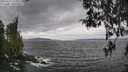 ./images/koeye/fitz-hugh/20260413/fitz-hugh20260413_124001M.jpg