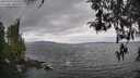 ./images/koeye/fitz-hugh/20260413/fitz-hugh20260413_124502M.jpg
