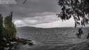 ./images/koeye/fitz-hugh/20260413/fitz-hugh20260413_131501M.jpg