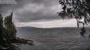 ./images/koeye/fitz-hugh/20260413/fitz-hugh20260413_132502M.jpg