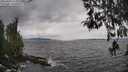 ./images/koeye/fitz-hugh/20260413/fitz-hugh20260413_134001M.jpg