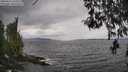 ./images/koeye/fitz-hugh/20260413/fitz-hugh20260413_134501M.jpg