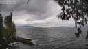 ./images/koeye/fitz-hugh/20260413/fitz-hugh20260413_135501M.jpg