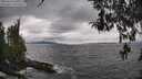 ./images/koeye/fitz-hugh/20260413/fitz-hugh20260413_140501M.jpg