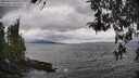 ./images/koeye/fitz-hugh/20260413/fitz-hugh20260413_141001M.jpg