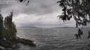 ./images/koeye/fitz-hugh/20260413/fitz-hugh20260413_142502M.jpg