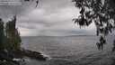./images/koeye/fitz-hugh/20260413/fitz-hugh20260413_143002M.jpg