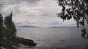 ./images/koeye/fitz-hugh/20260413/fitz-hugh20260413_151001M.jpg