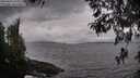 ./images/koeye/fitz-hugh/20260413/fitz-hugh20260413_162501M.jpg