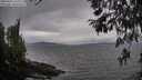 ./images/koeye/fitz-hugh/20260413/fitz-hugh20260413_164001M.jpg