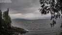 ./images/koeye/fitz-hugh/20260413/fitz-hugh20260413_164502M.jpg