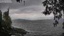 ./images/koeye/fitz-hugh/20260413/fitz-hugh20260413_165001M.jpg