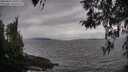 ./images/koeye/fitz-hugh/20260413/fitz-hugh20260413_165501M.jpg