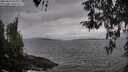 ./images/koeye/fitz-hugh/20260413/fitz-hugh20260413_170001M.jpg