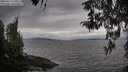 ./images/koeye/fitz-hugh/20260413/fitz-hugh20260413_170501M.jpg