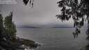 ./images/koeye/fitz-hugh/20260413/fitz-hugh20260413_174001M.jpg
