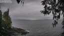 ./images/koeye/fitz-hugh/20260413/fitz-hugh20260413_175502M.jpg