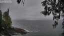 ./images/koeye/fitz-hugh/20260413/fitz-hugh20260413_183501M.jpg