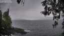 ./images/koeye/fitz-hugh/20260413/fitz-hugh20260413_184502M.jpg