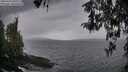 ./images/koeye/fitz-hugh/20260413/fitz-hugh20260413_185501M.jpg