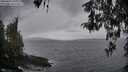 ./images/koeye/fitz-hugh/20260413/fitz-hugh20260413_190002M.jpg