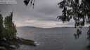 ./images/koeye/fitz-hugh/20260413/fitz-hugh20260413_194001M.jpg