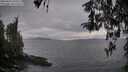 ./images/koeye/fitz-hugh/20260413/fitz-hugh20260413_194501M.jpg