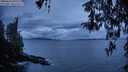 ./images/koeye/fitz-hugh/20260413/fitz-hugh20260413_203501M.jpg
