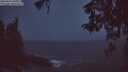 ./images/koeye/fitz-hugh/20260414/fitz-hugh20260414_060501M.jpg