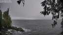 ./images/koeye/fitz-hugh/20260414/fitz-hugh20260414_083501M.jpg