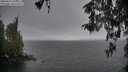 ./images/koeye/fitz-hugh/20260414/fitz-hugh20260414_105501M.jpg
