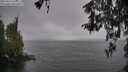 ./images/koeye/fitz-hugh/20260414/fitz-hugh20260414_111002M.jpg