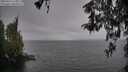 ./images/koeye/fitz-hugh/20260414/fitz-hugh20260414_111501M.jpg