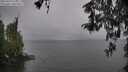 ./images/koeye/fitz-hugh/20260414/fitz-hugh20260414_114001M.jpg