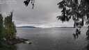 ./images/koeye/fitz-hugh/20260414/fitz-hugh20260414_133501M.jpg