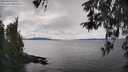 ./images/koeye/fitz-hugh/20260414/fitz-hugh20260414_140501M.jpg