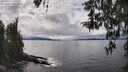 ./images/koeye/fitz-hugh/20260414/fitz-hugh20260414_143502M.jpg