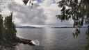 ./images/koeye/fitz-hugh/20260414/fitz-hugh20260414_144002M.jpg