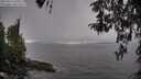 ./images/koeye/fitz-hugh/20260414/fitz-hugh20260414_145501M.jpg