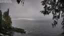 ./images/koeye/fitz-hugh/20260414/fitz-hugh20260414_151001M.jpg