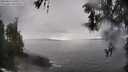 ./images/koeye/fitz-hugh/20260414/fitz-hugh20260414_155501M.jpg