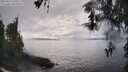 ./images/koeye/fitz-hugh/20260414/fitz-hugh20260414_160502M.jpg
