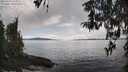 ./images/koeye/fitz-hugh/20260414/fitz-hugh20260414_164002M.jpg