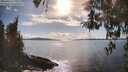 ./images/koeye/fitz-hugh/20260414/fitz-hugh20260414_170501M.jpg